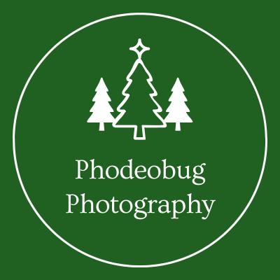 Phodeobug Photography